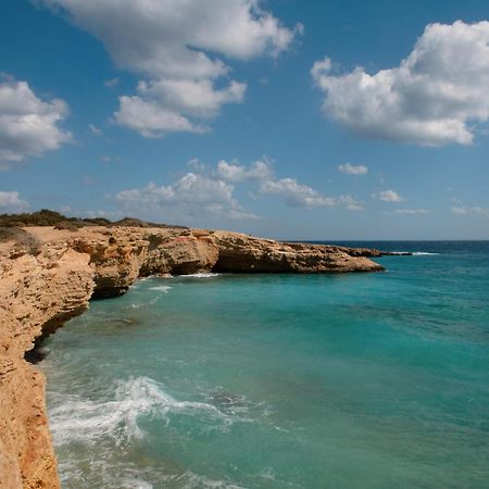 Dafnis Koufonisia Διαμέρισμα Εξωτερικό φωτογραφία